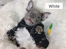Load image into Gallery viewer, Comfy Dog Bed