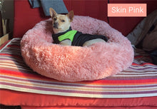 Load image into Gallery viewer, Comfy Dog Bed