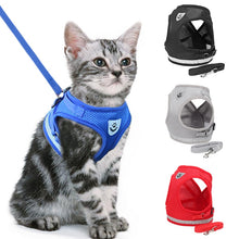 Load image into Gallery viewer, cat harness and leash