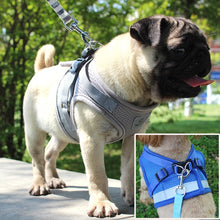 Load image into Gallery viewer, Cat Harness And Leash Set Nylon - Best Harness and Leash for Cat Lover