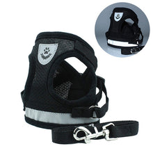 Load image into Gallery viewer, cat harness and leash