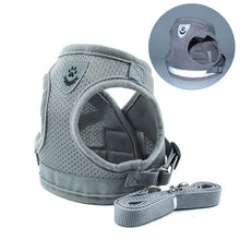 Load image into Gallery viewer, cat harness and leash