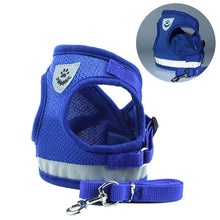 Load image into Gallery viewer, cat harness and leash