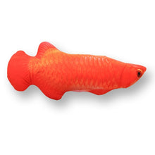 Load image into Gallery viewer, Kicker Cat Toy Fish Shape
