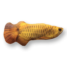 Load image into Gallery viewer, Kicker Cat Toy Fish Shape